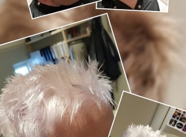 59732837_1222552351239804_4807496622583840768_n