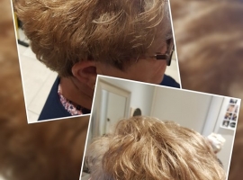 59921893_1222552297906476_6236705453422673920_n